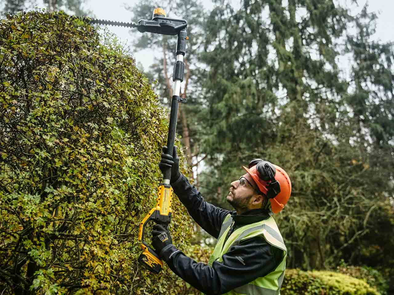 Dewalt xr store hedge trimmer