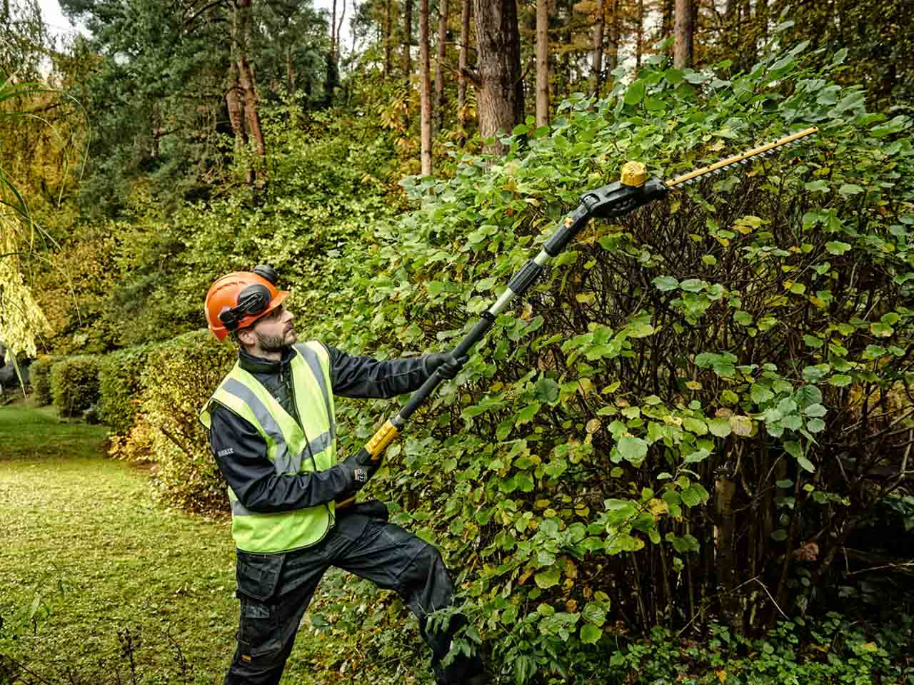 Dewalt extendable deals hedge trimmer