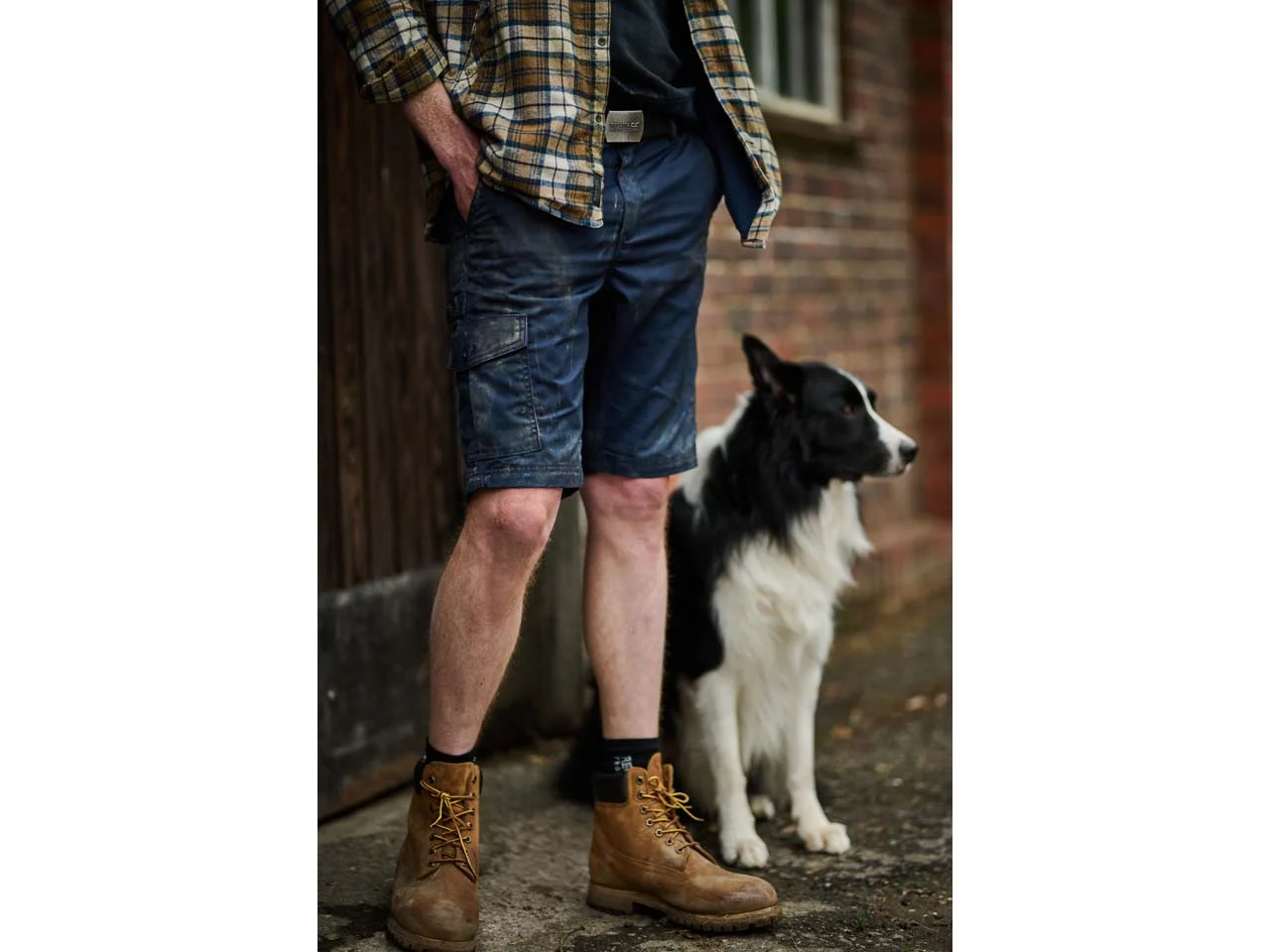 DEWALT Hamden Pro-Stretch Shorts – DeWalt Workwear UK